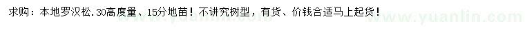 求購15公分本地羅漢松
