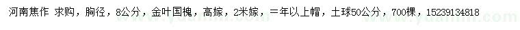 求購(gòu)胸徑8公分金葉國(guó)槐