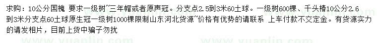 求購10公分國槐、千頭椿