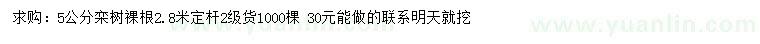 求購5公分欒樹