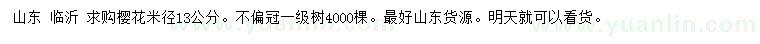 求購米徑13公分櫻花