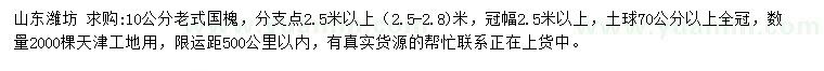 求購10公分老式國槐