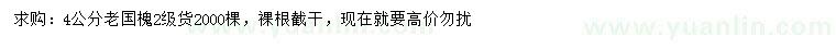 求購4公分老國槐
