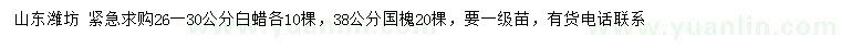 求購26-30公分白蠟