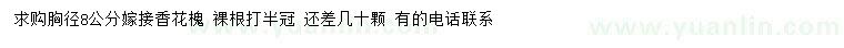 求購胸徑8公分嫁接香花槐