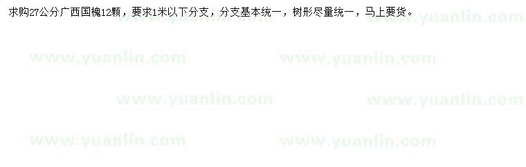 求購(gòu)27公分國(guó)槐