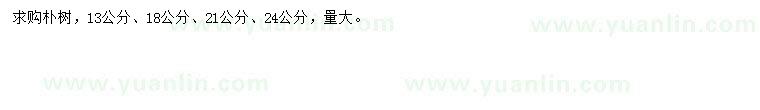 求購(gòu)13、18、21、24公分樸樹