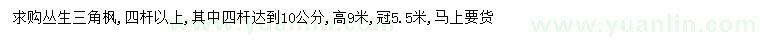 求購高9米叢生三角楓