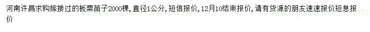 求購(gòu)直徑1公分板栗苗子