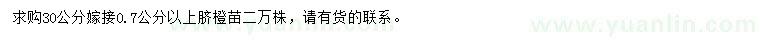 求購(gòu)30公分嫁接0.7公分以上臍橙苗