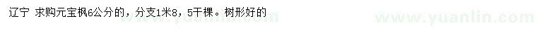 求購6公分元寶楓