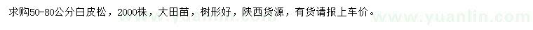 求購50-80公分白皮松