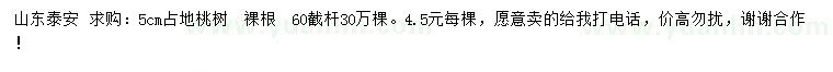 求購5公分占地桃樹