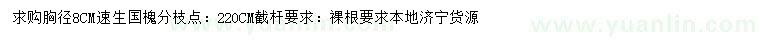 求購胸徑8公分速生國槐