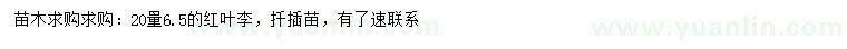 求購(gòu)20量6.5公分紅葉李