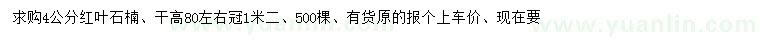 求購4公分紅葉石楠
