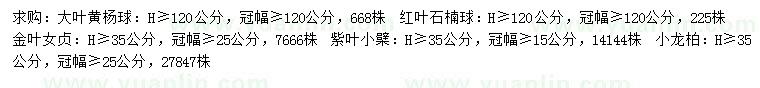 求購大葉黃楊球、紅葉石楠球、金葉女貞等