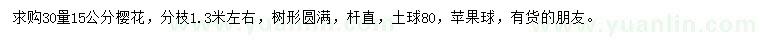 求購(gòu)30量15公分櫻花