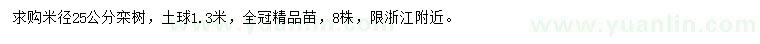 求購米徑25公分欒樹