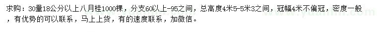 求購30量18公分以上八月桂