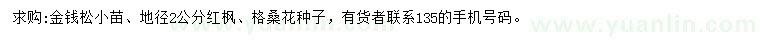 求購(gòu)金錢松小苗、紅楓、格?；ǚN子