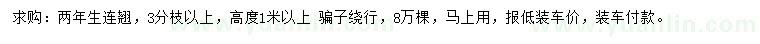 求購高1米以上連翹