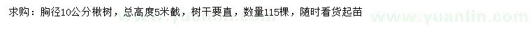 求購(gòu)胸徑10公分楸樹(shù)