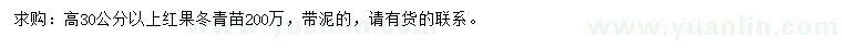 求購高30公分以上紅果冬青苗