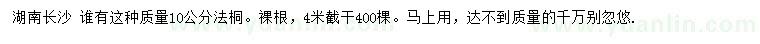 求購10公分法桐