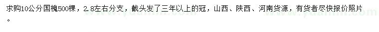 求購10公分國槐