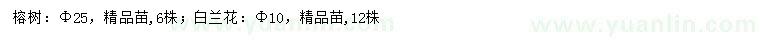 求購米徑25公分榕樹(shù)、10公分白蘭花