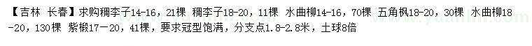 求購稠李子、水典柳、五角楓等