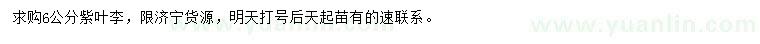 求購6公分紫葉李
