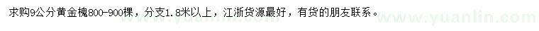 求購9公分黃金槐