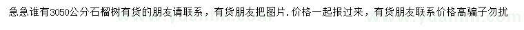 求購30、50公分石榴樹