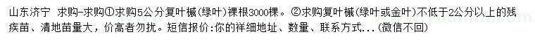 求購2公分以上、5公分復(fù)葉槭