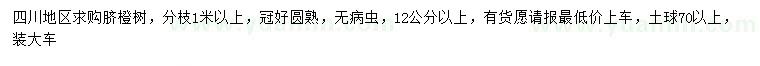 求購(gòu)12公分以上臍橙樹