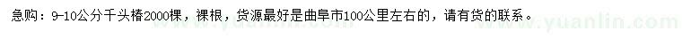 求購9-10公分千頭椿