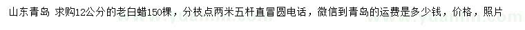 求購12公分老白蠟