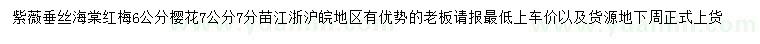 求購紫薇、垂絲海棠、櫻花
