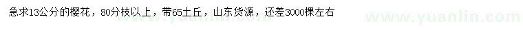 求購13公分櫻花