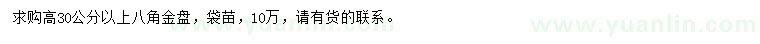 求購高30公分以上八角金盤