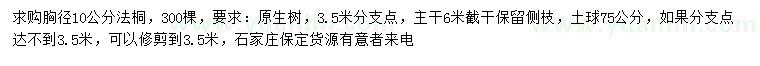 求購10公分法桐