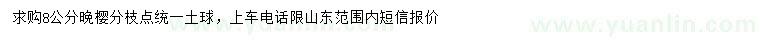 求購8公分晚櫻