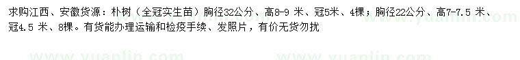 求購胸徑22、32公分樸樹