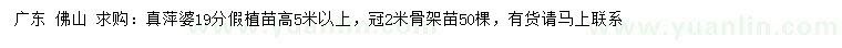 求購19公分假萍婆