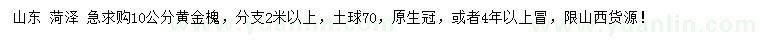 求購10公分黃金槐