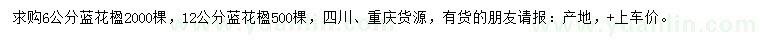 求購6、12公分藍(lán)花楹
