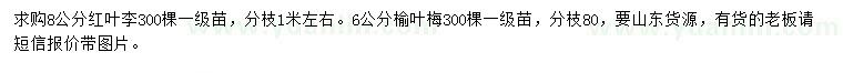 求購(gòu)8公分紅葉李、6公分榆葉梅