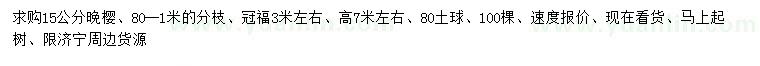 求購15公分晚櫻